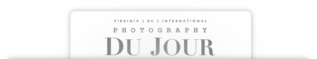 My Blog logo
