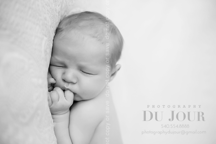 13 days fresh: Loudoun Newborn Photographer