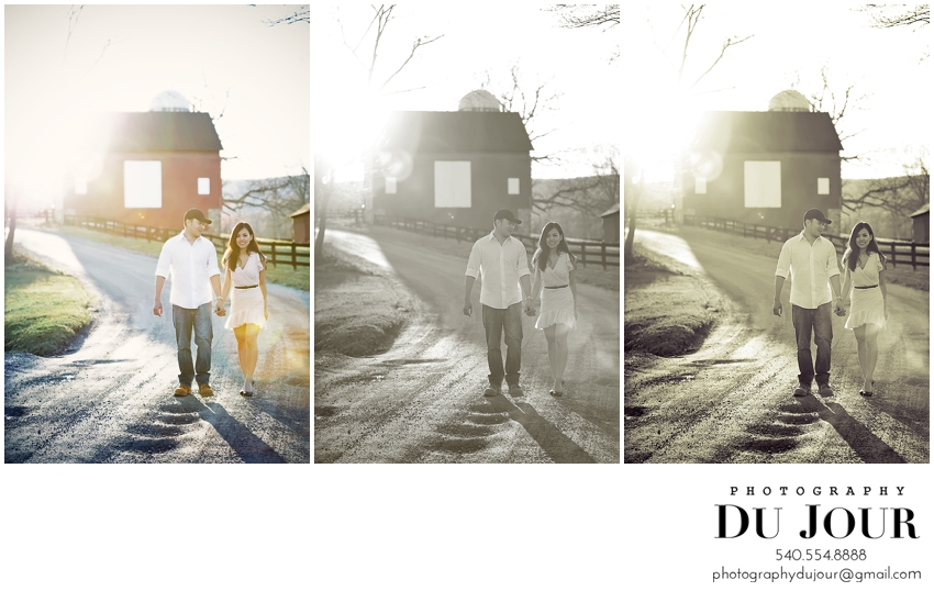 T+A Save the Date: D.C. Engagement Photographer, Northern Virginia Wedding Photographer