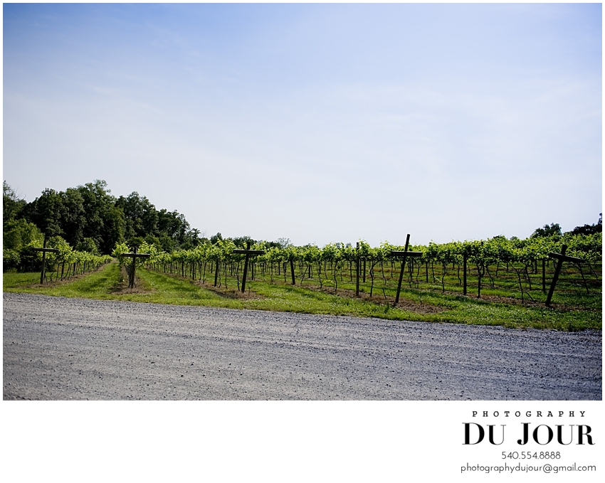 Tara & George Married at Lost Creek Winery: Virginia Wedding Photographer