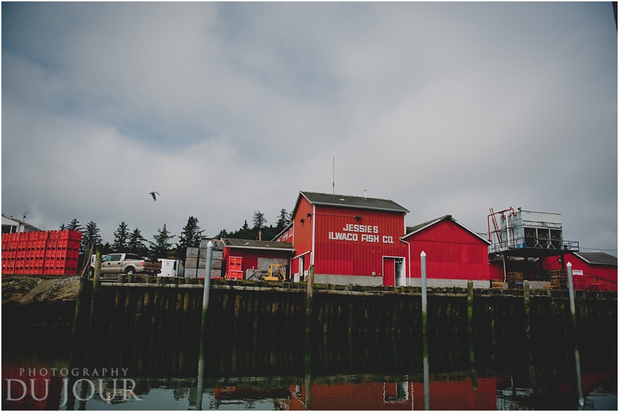 Longing for Summer: Washington State Family Photos