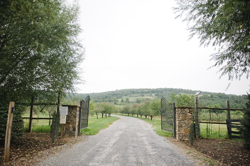 Heather & Jan Tie the Knot at Bluemont Vineyards: Virginia Wedding Photographers