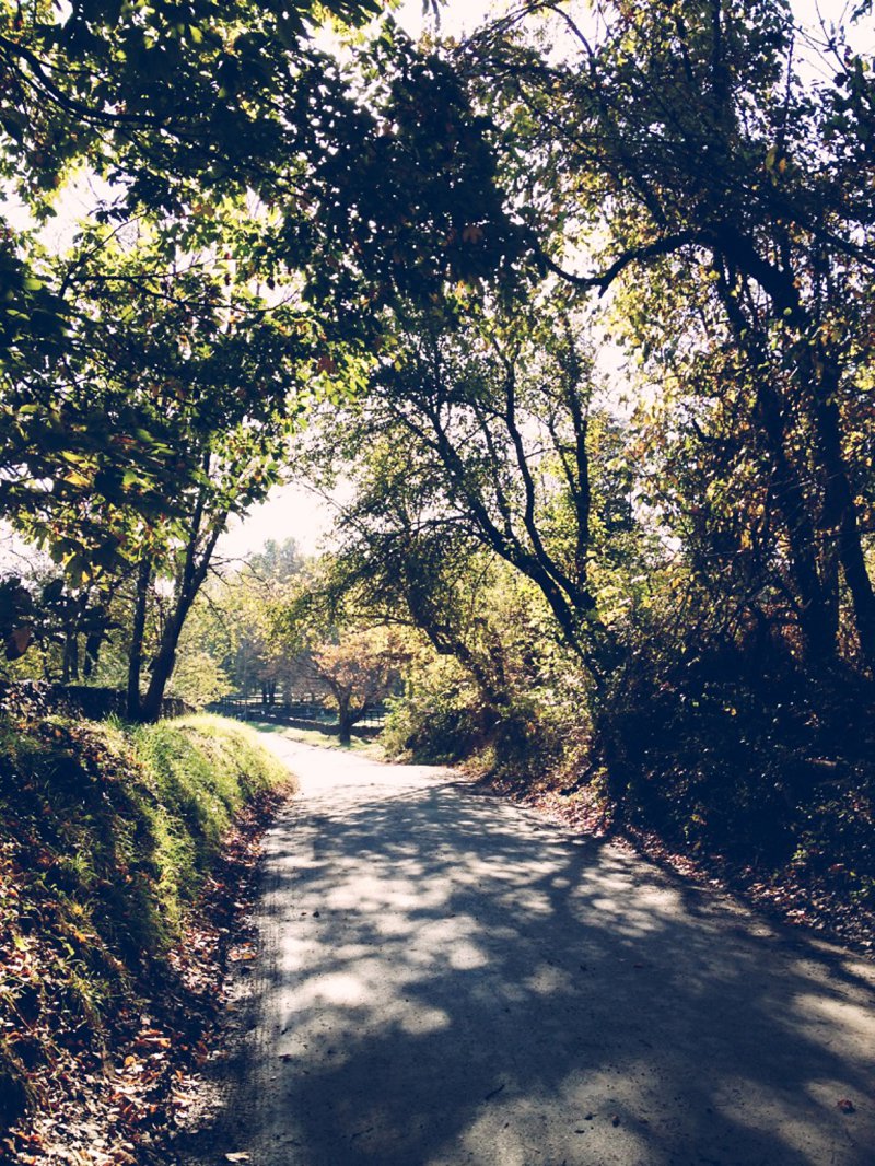 What inspires me at the moment: Virginia Wedding Photographer