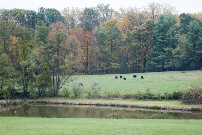 Featured in The Knot Magazine, A Barn Wedding: Virginia Wedding Photographer