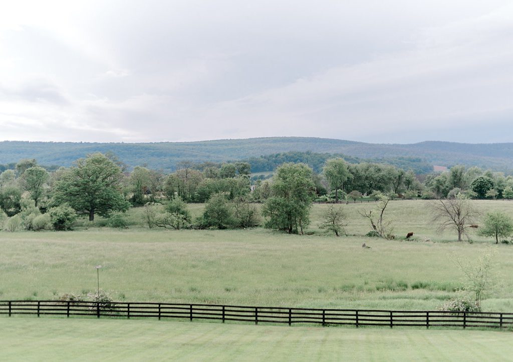 Alex & Chris Married at Silverbrook Farm: Virginia Wedding Photographer